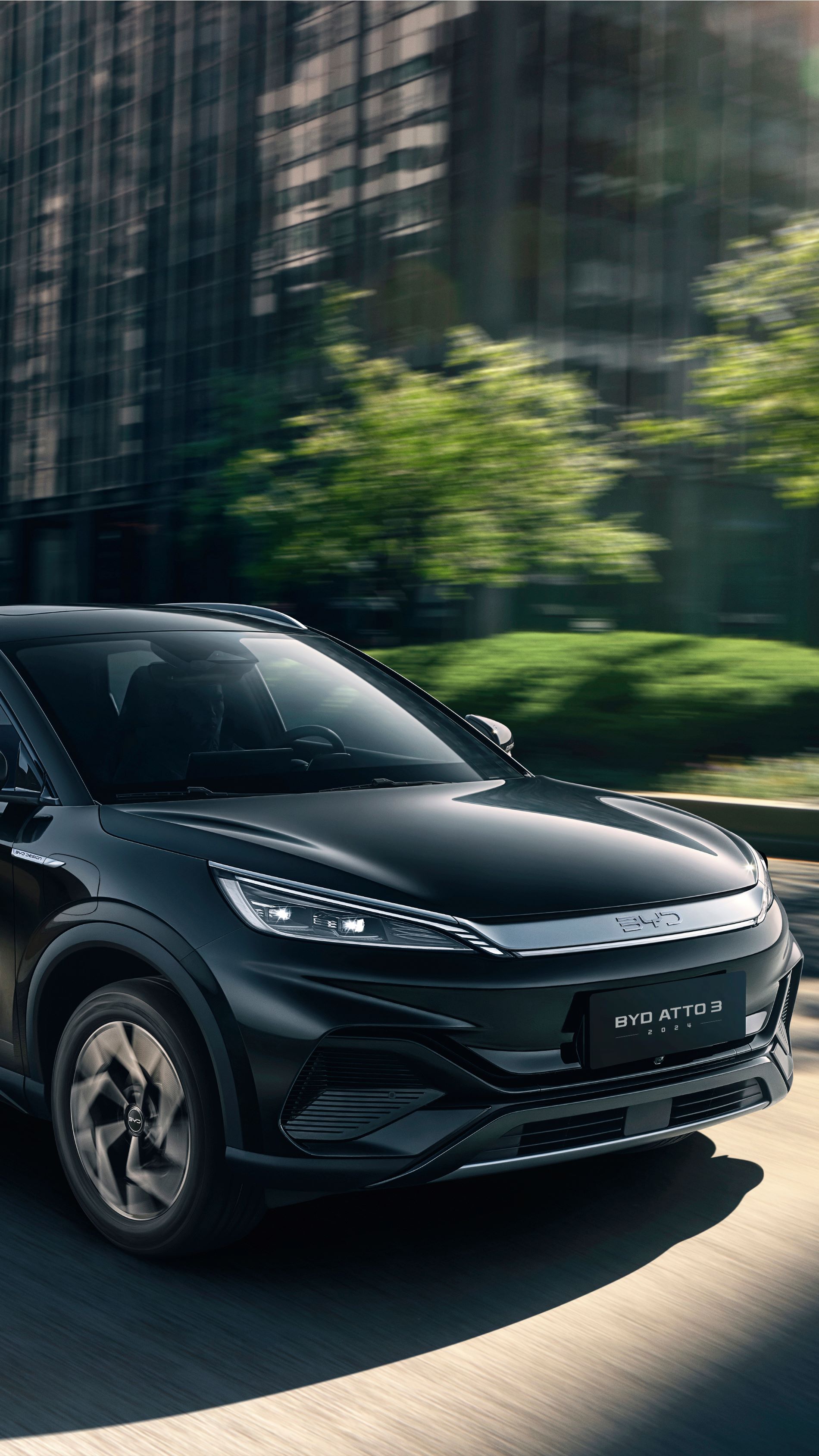 BYD Tung Đòn Quyết Định: Đại Chiến Giá Xe Xanh Cuối Năm