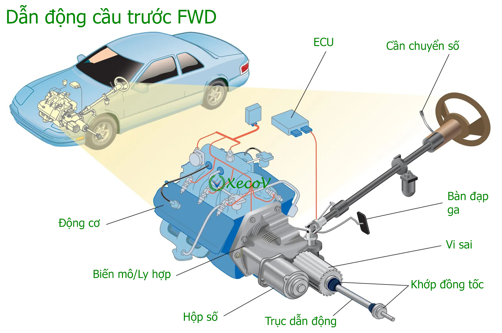 FWD và RWD: Tại Sao Xe Cầu Trước Vẫn Thống Trị Dù Cầu Sau “Sướng” Hơn?